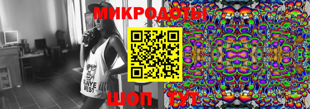 Псилоцибиновые грибы Cubensis Артём